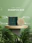 Shampoo Bar - Hair + Beard